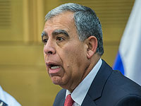 Мики Леви