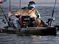 Исследование: вопреки мифу рыбаков, рыбы испытывают боль