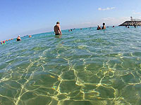 Минздрав разрешил открыть для купания хайфские пляжи