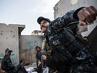 Число погибших в ходе беспорядков в Ираке достигло 53