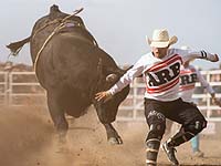 Австралийский фестиваль для любителей скачек на быках. Фоторепортаж
