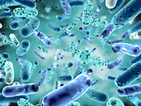 Микробы могут быть опасными для космических туристов