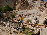 Заповедник Эйн-Геди закрыт для туристов из-за угрозы наводнения