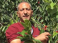 Продлен срок ареста главного подозреваемого в теракте у поселка Долев