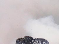 В Симферополе загорелся бывший стадион