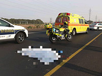 Водитель, попавший в аварию на шоссе 20, погиб, пытаясь позвать на помощь