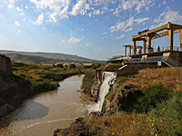 Иордания предложила выплатить израильским фермерам компенсацию за урожай