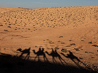 Национальные парки а-Бесор, Тель Беэр-Шева и Бейт-Говрин закрыты для посетителей