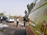 ДТП на 444-й трассе, погибли два человека