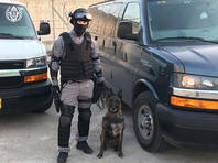 Рэмбо предотвратил поставку крупной партии наркотиков в тюрьму 