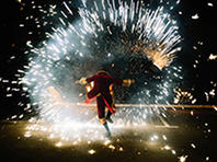 Цирк Флорентин: феерическое цирковое шоу 