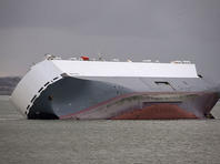 В Черном море затонуло судно, перевозившее тысячи овец