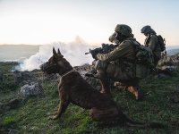 Скончался создатель кинологического спецназа 