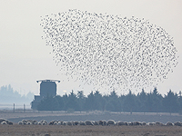 The Times: Турция испытывает российский С-400 на американских истребителях F-16 в качестве тренировочных целей