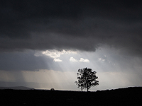 Первые дожди зимнего сезона 2019-2020 в Израиле: сведения о последствиях