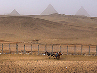 Египетские 