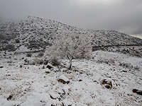 На горе Хермон начался снегопад