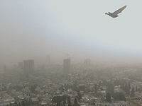 Хайфский порт прекратил принимать суда