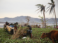 Тайфун на Филиппинах, не менее 16 погибших