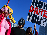 Пираты и черепахи против