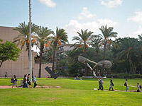 36% израильтян с первой академической степенью работают не по специальности