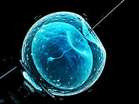 Специалисты рекомендуют минздраву ограничить возраст женщин для процедуры ЭКО