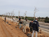 Началась четвертая стадия защитных посадок в окрестностях Газы