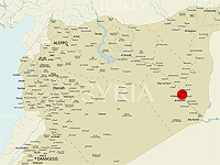 SOHR: бойцы иранских сил 