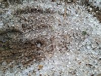 В центральных районах Израиля выпал град