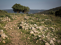 Беннет распорядился объявить семь объектов в Иудее и Самарии заповедниками