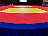 Сирийский дзюдоист отказался от участия в Гран-при в Тель-Авиве из-за угроз жизни