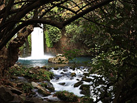 Заповедники на севере Израиля частично закрыты из-за завалов