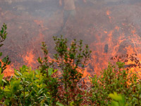 Пожар на плантации в Венесуэле: не менее 12 погибших, в основном дети и подростки