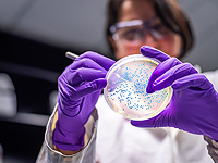 Гипотеза канадских ученых: рак может передаваться через микробиом