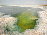 Главный редактор Maan обвинил Израиль в смерти Мертвого моря