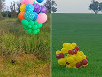 В районе Шаар а-Негев найдены воздушные шары со взрывчаткой, запущенные из Газы