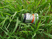 Взрывные устройства, доставленные шарами, обнаружены на 6-м шоссе, в Кирьят-Гате и Сдероте