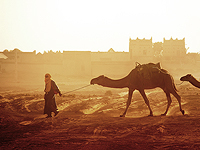 СМИ рассказывают о сделке с США, позволяющей Марокко нормализовать отношения с Израилем