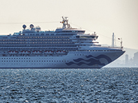 На круизном лайнере Diamond Princess, вставшем на карантин у берегов Японии, есть израильтяне