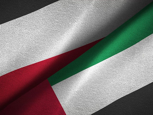 ОАЭ вывели войска из Йемена