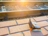 Сотрудники 