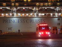 Diamond Princess на карантине. Плавучий госпиталь у берегов Японии