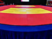 Дзюдо. Израильтянин Петр Пальчик стал победителем турнира 