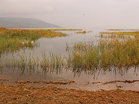 Плотину Дгании откроют, не дожидаясь заполнения Кинерета