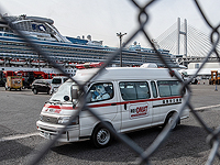 Пассажиры Diamond Princess вернутся в Израиль 20 февраля