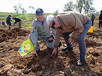 250 человек, переживших Катастрофу, заложили новый лес в память о литовской еврейской общине