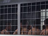 Власти Таиланда отклонили просьбу Нати Хадада об отбывании наказания в Израиле