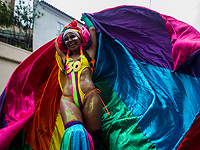 Карнавальное шествие на улицах Рио. Фоторепортаж