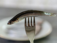 Насколько ядовитой была настоящая