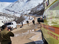 На горе Хермон тяжело травмирована девушка